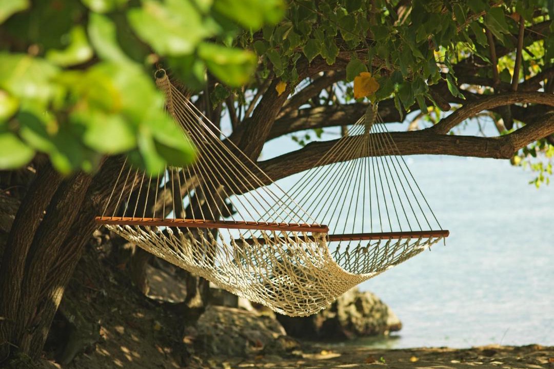 Photo of Others in Ocho Rios