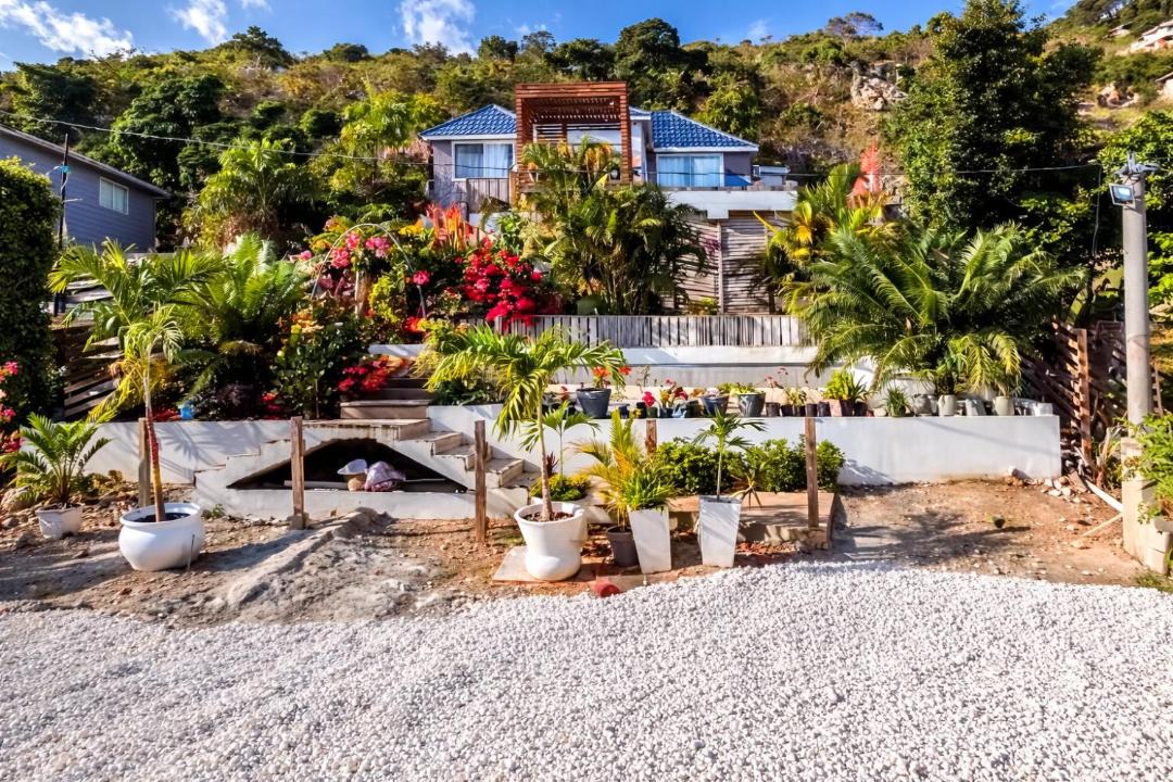 Photo of Others in Treasure Beach