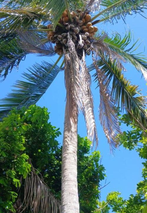 Photo of Others in Sandy Bay