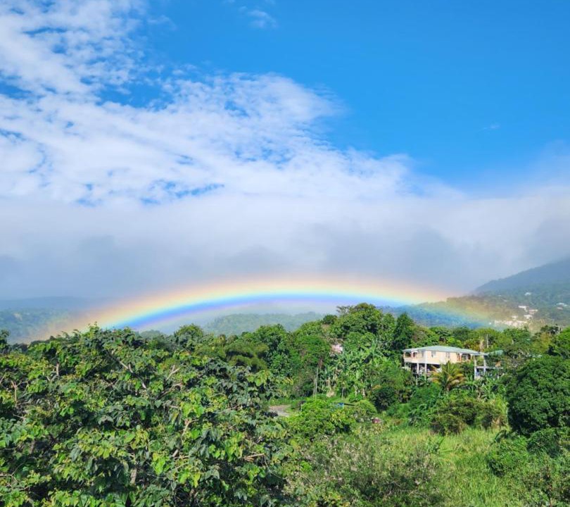 Photo of Others in Morne Prosper