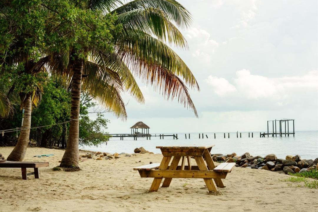 Photo of Others in Caribbean Way