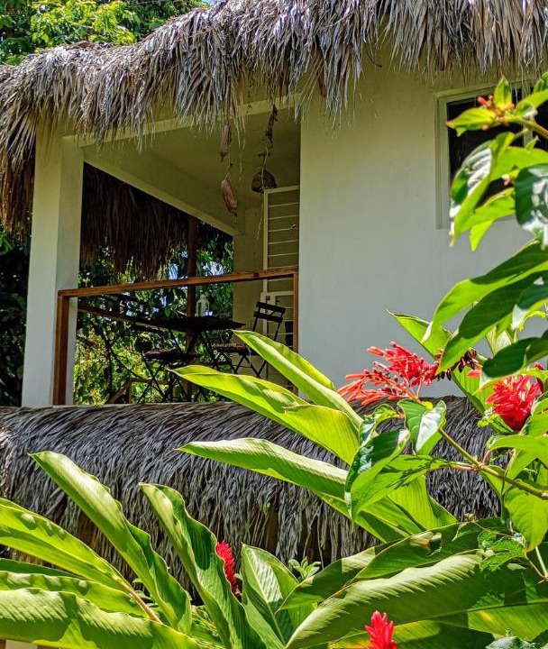 Photo of Others in Las Galeras