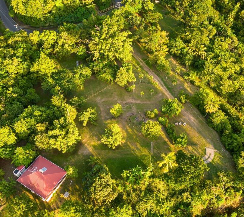 Photo of Others in Anse La Raye