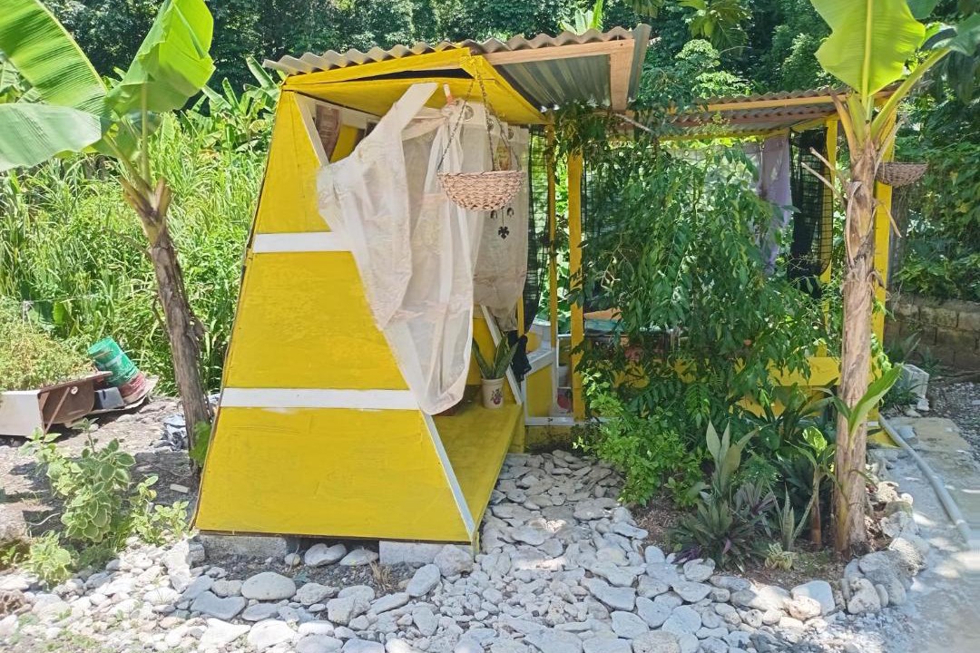 Photo of Others in Port Antonio