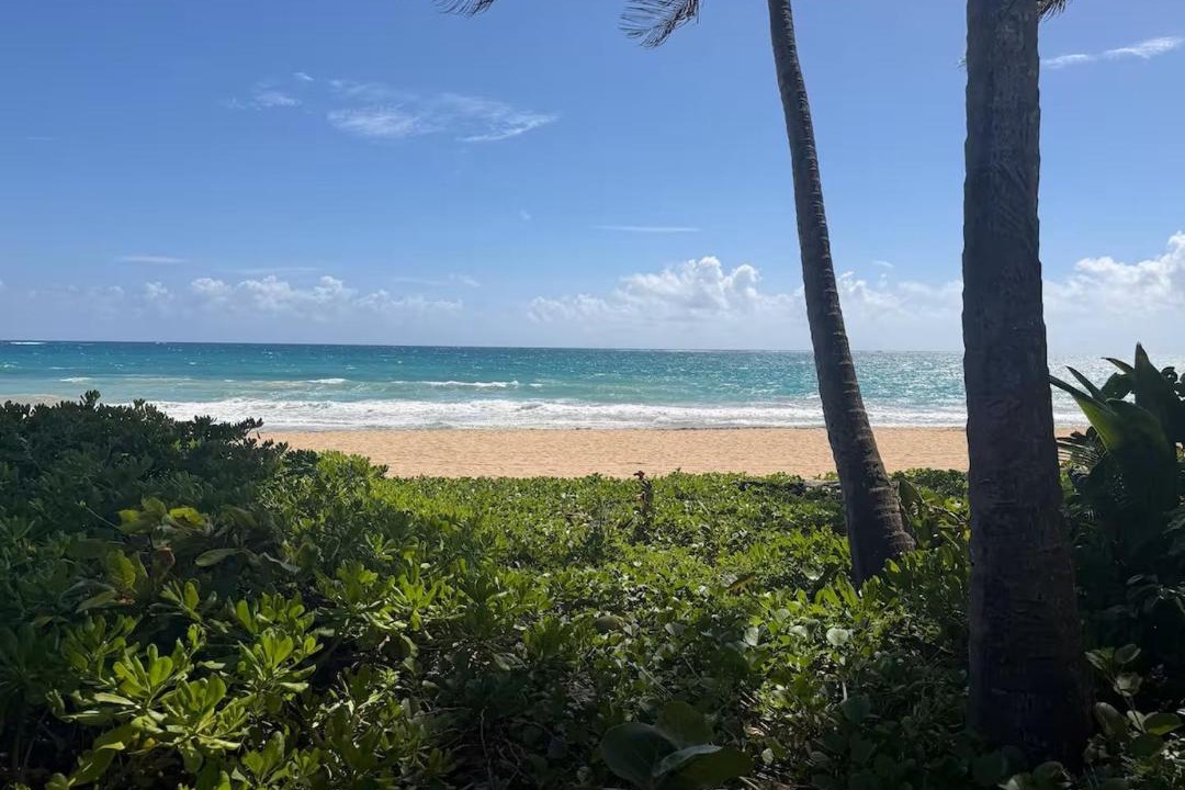 Photo of Others in Condado