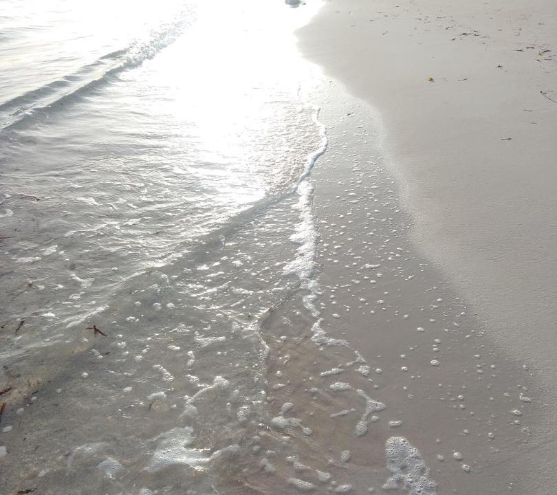 Photo of Others in Silver Sands