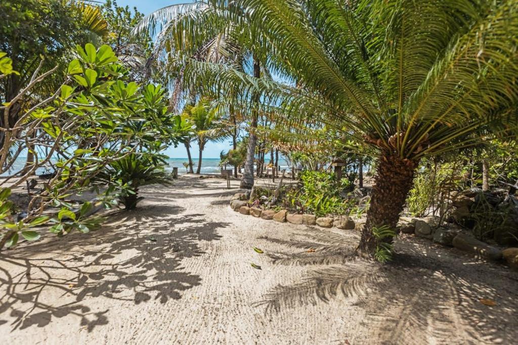 Photo of Others in Caribbean Way