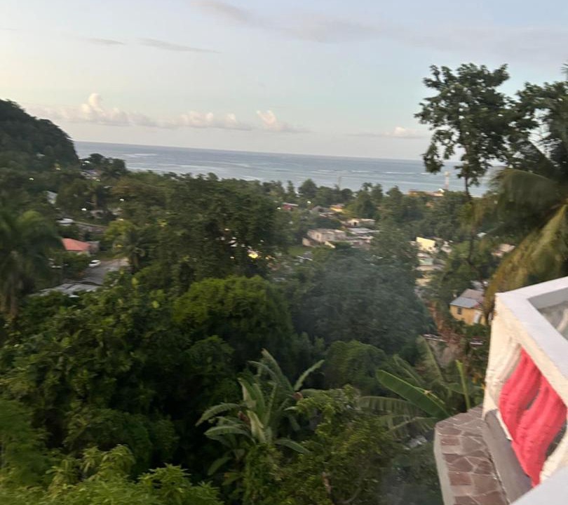 Photo of Others in Port Antonio