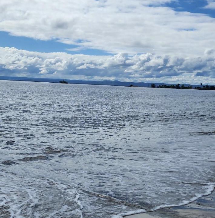 Photo of Others in Puerto Bahia