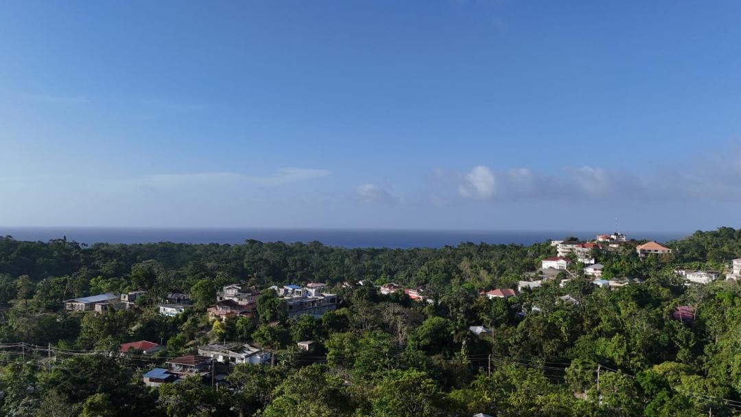Photo of Others in Port Antonio