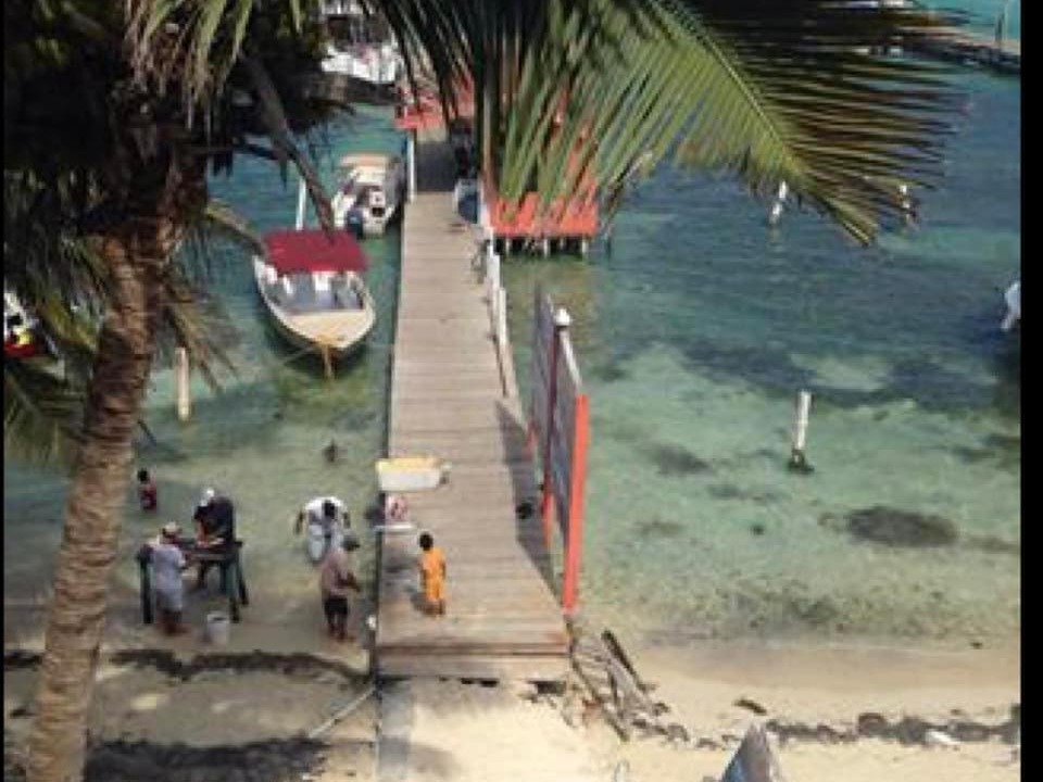 Photo of Others in San Pedro