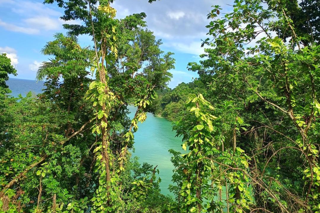 Photo of Others in Port Antonio