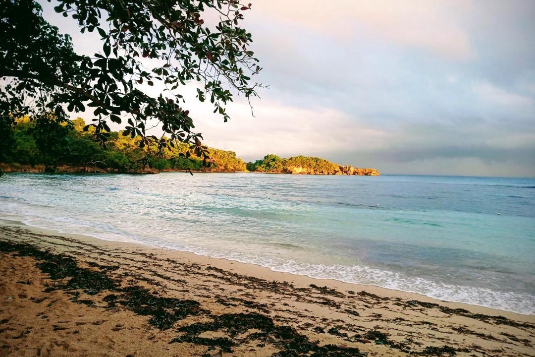 Photo of Others in Port Antonio