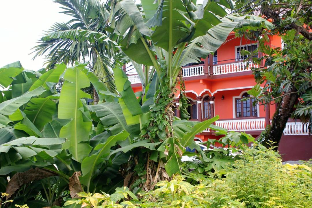 Photo of Others in Port Antonio