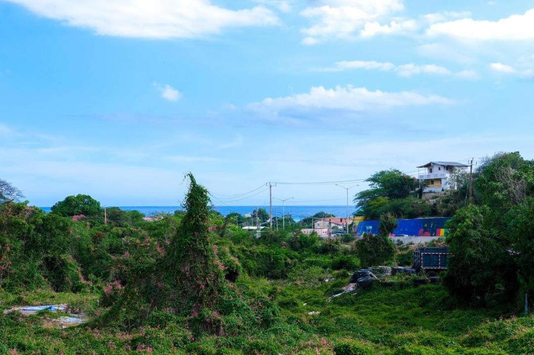 Photo of Others in Gordon Town