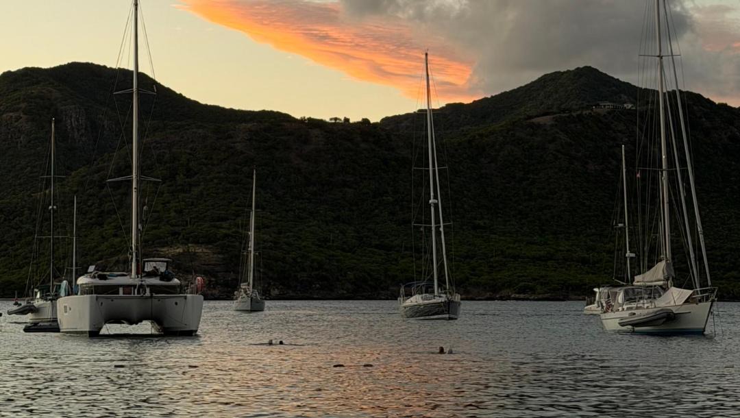 Photo of Others in English Harbour