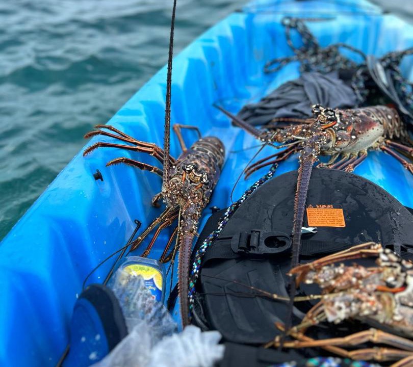 Photo of Others in Savannah Sound