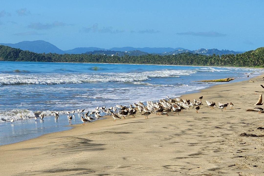 Photo of Others in Punta Santiago