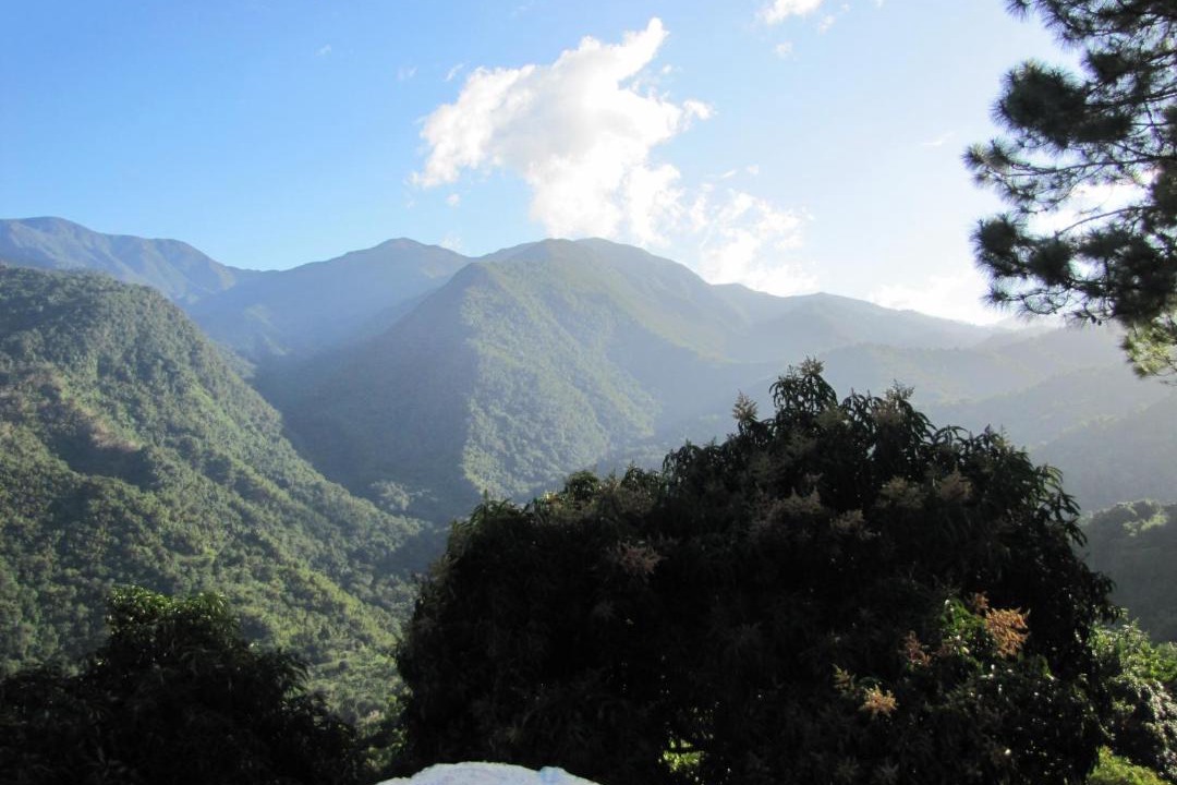Photo of Others in Blue Mountains National Park