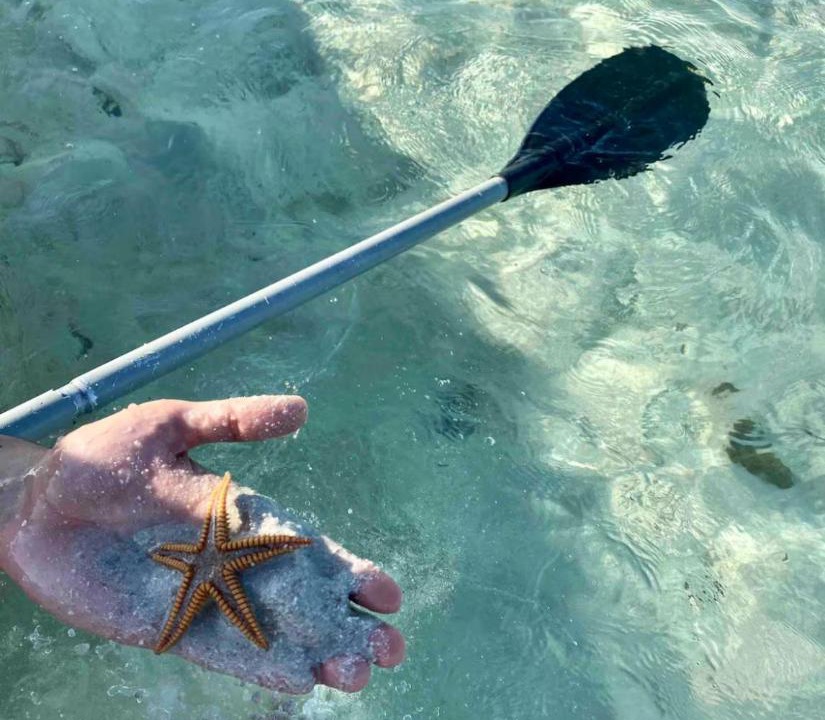 Photo of Others in Boca Chica