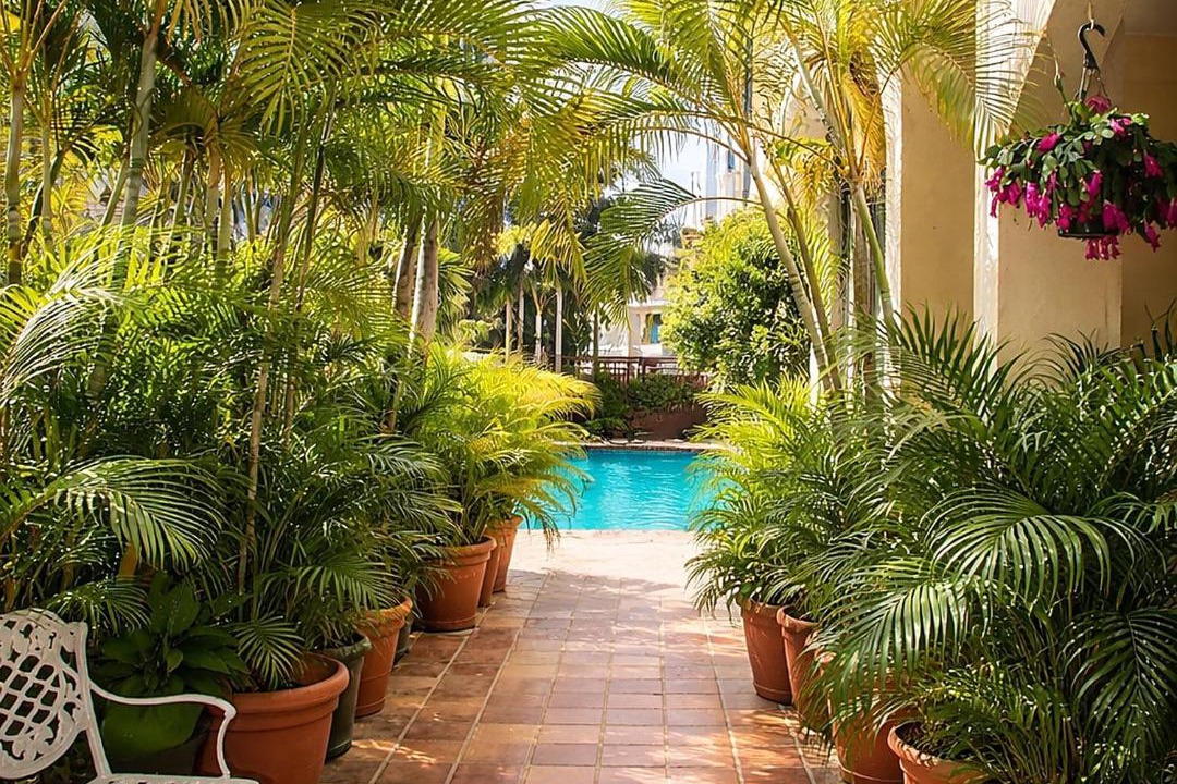 Photo of Patio Balcony in San Juan