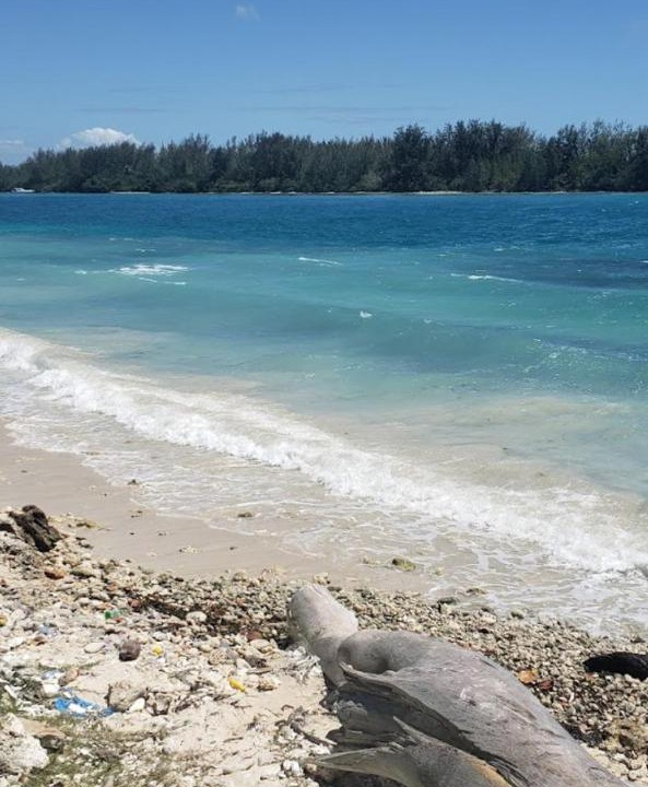 Photo of Others in Boca Chica