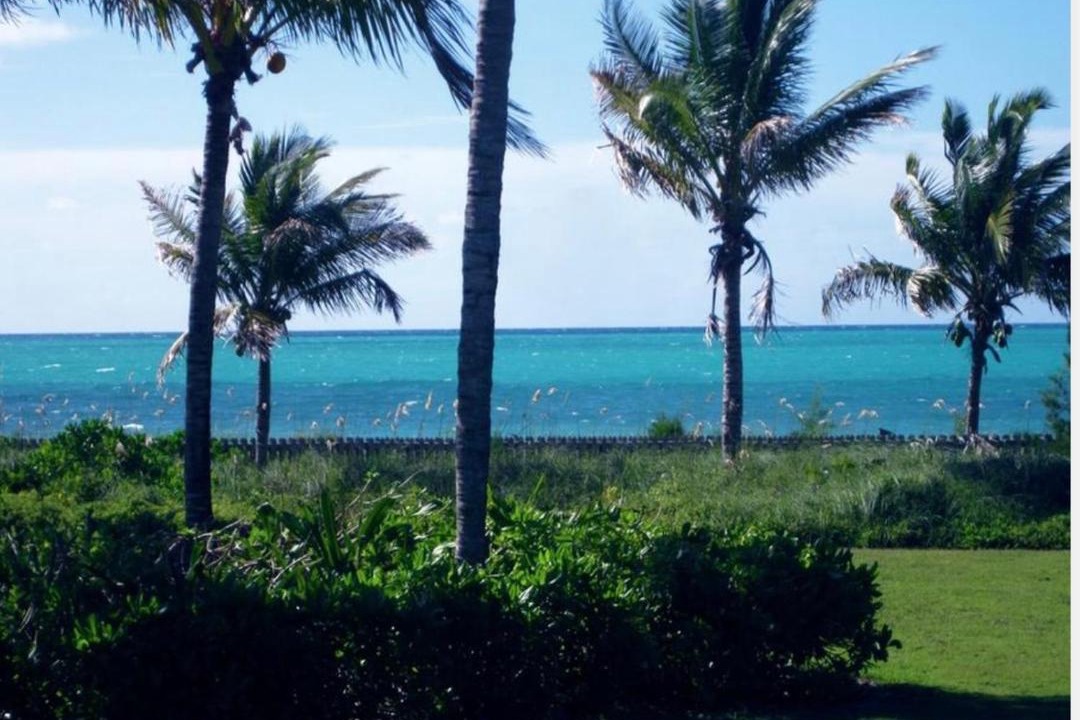 Photo of Others in Freeport