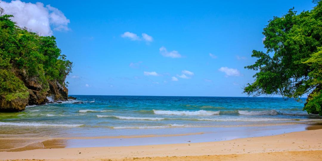 Photo of Others in Long Bay