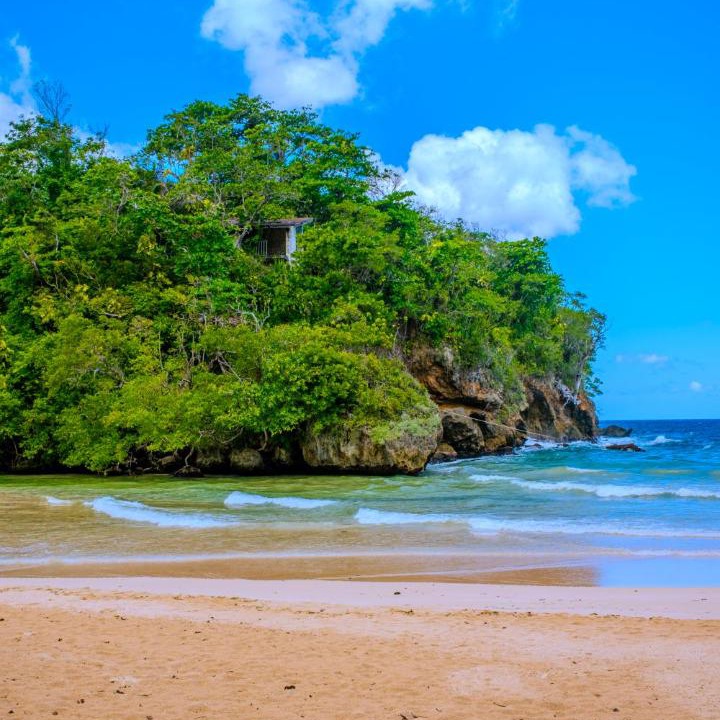 Photo of Others in Long Bay
