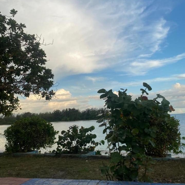 Photo of Others in Boca Chica