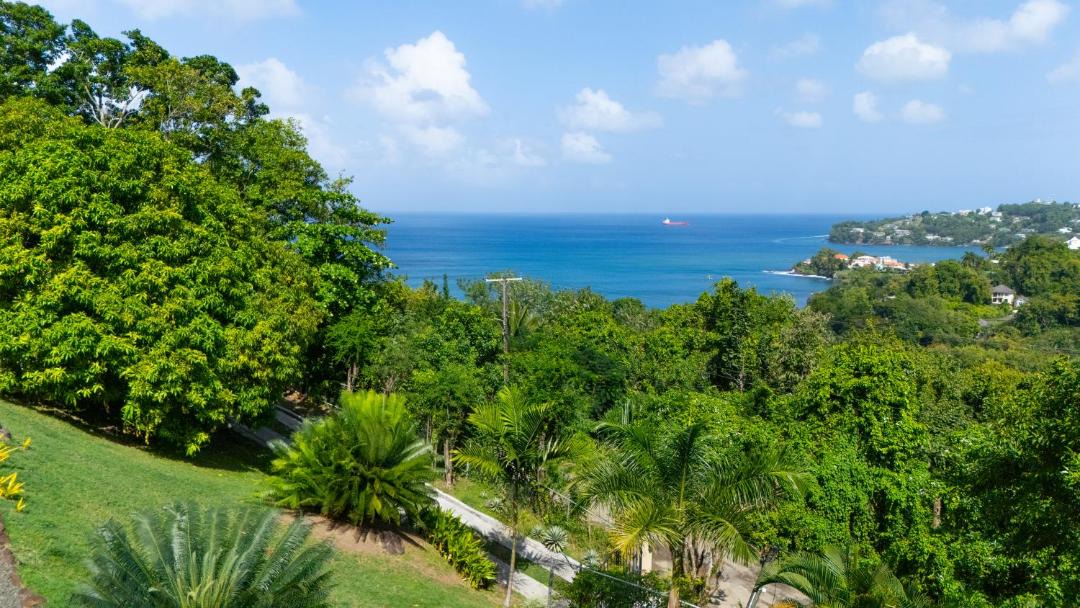 Photo of Others in Castries