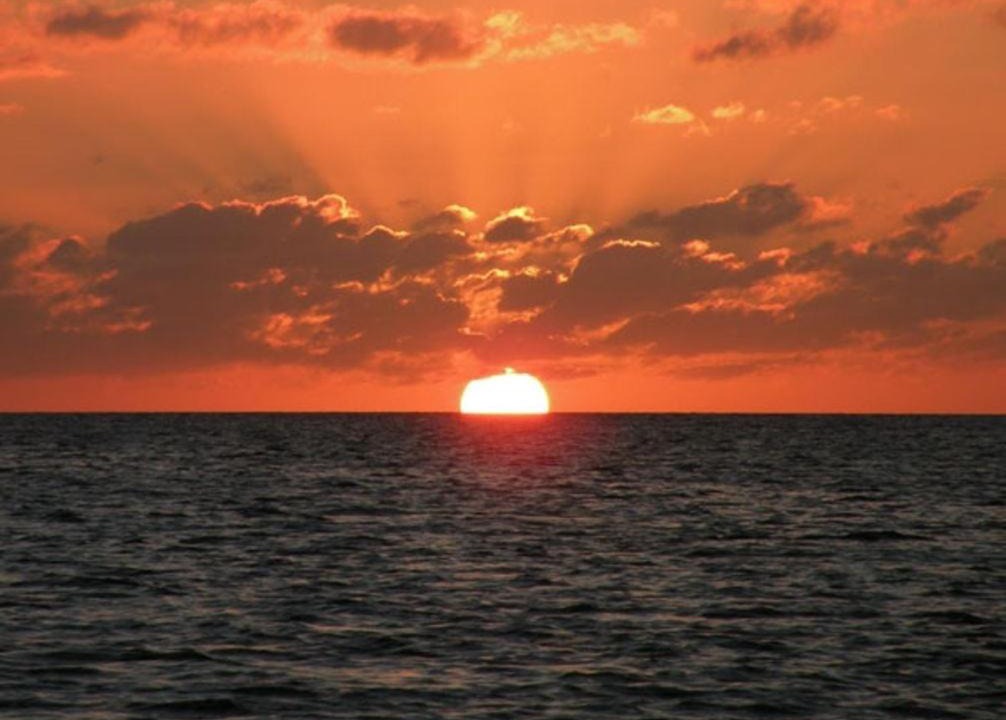 Photo of Others in Savannah Sound