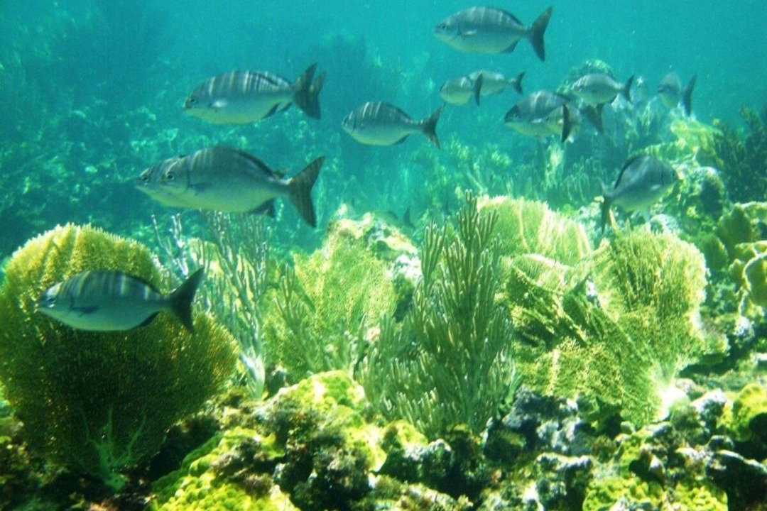 Photo of Others in Governor's Harbour
