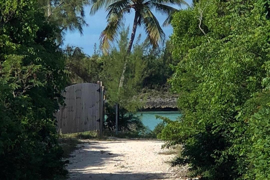 Photo of Others in Rainbow Bay