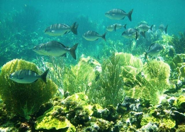 Photo of Others in Governor's Harbour