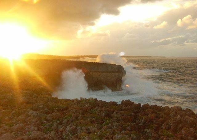 Photo of Others in Double Bay