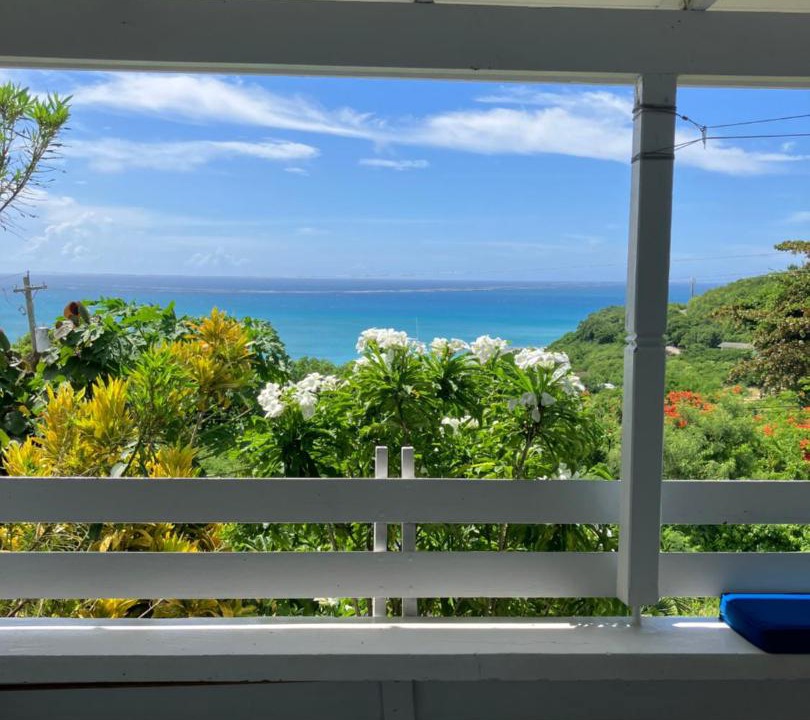 Photo of Others in Dickenson Bay