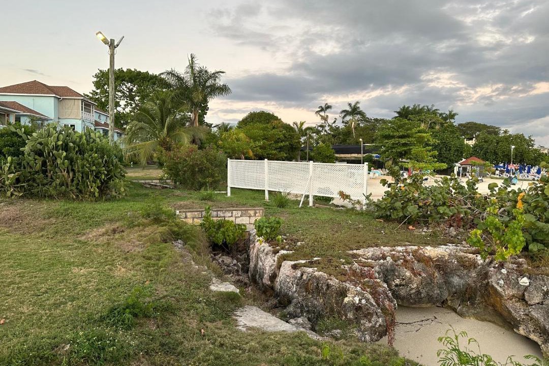 Photo of Others in Orange Bay