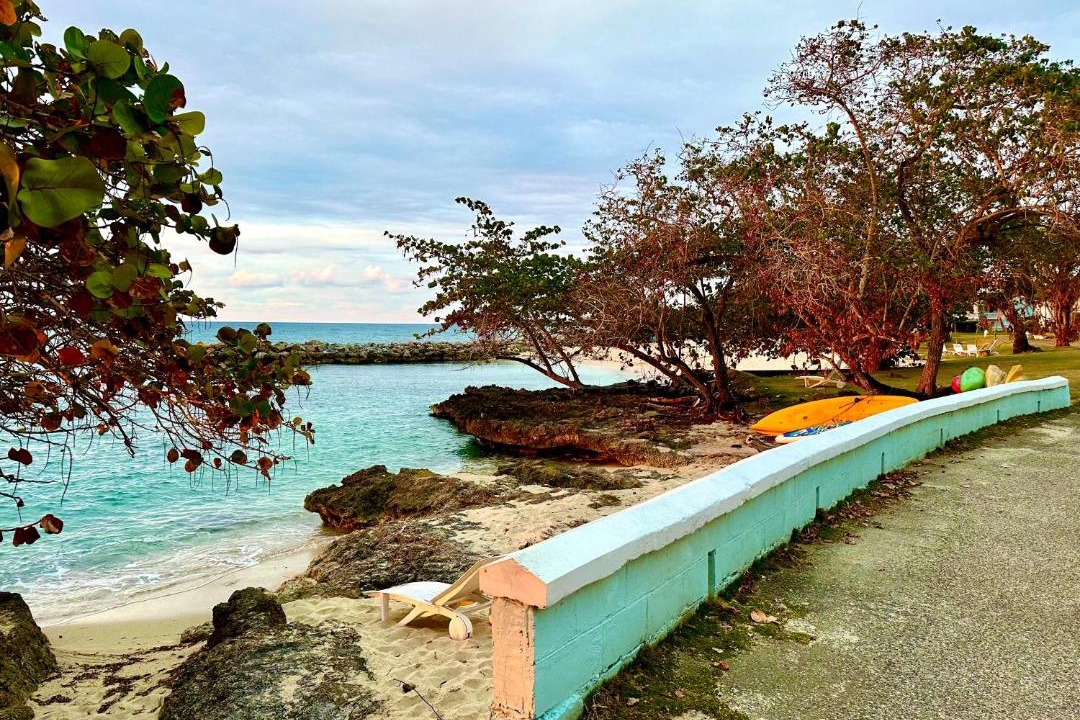 Photo of Others in Orange Bay