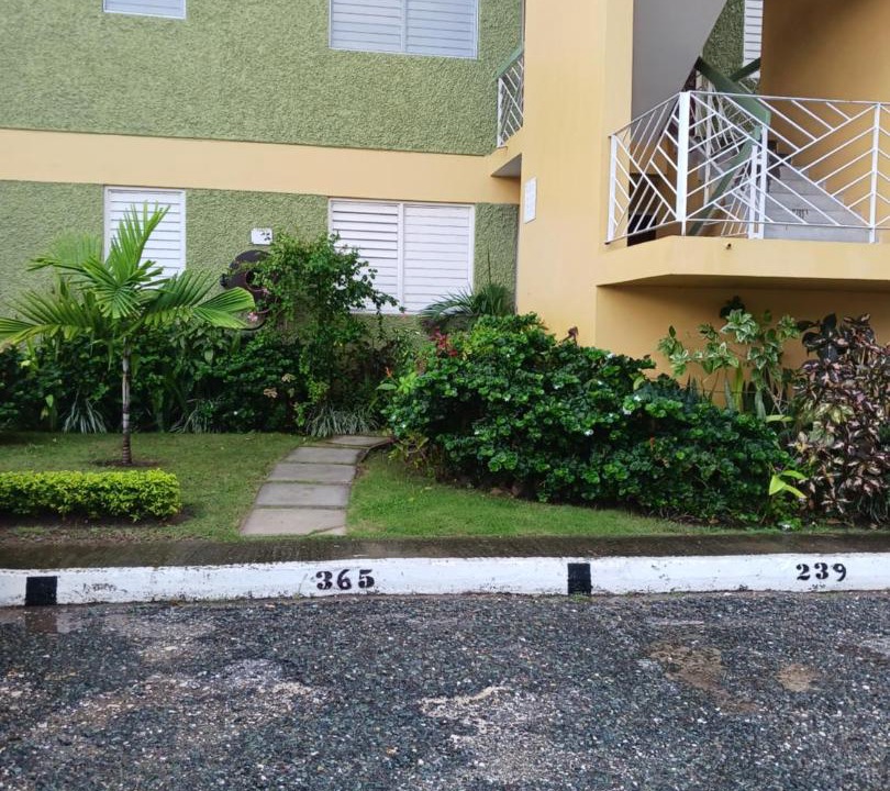 Photo of Others in New Kingston