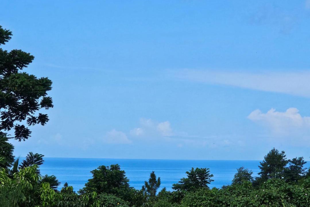 Photo of Others in Anse La Raye