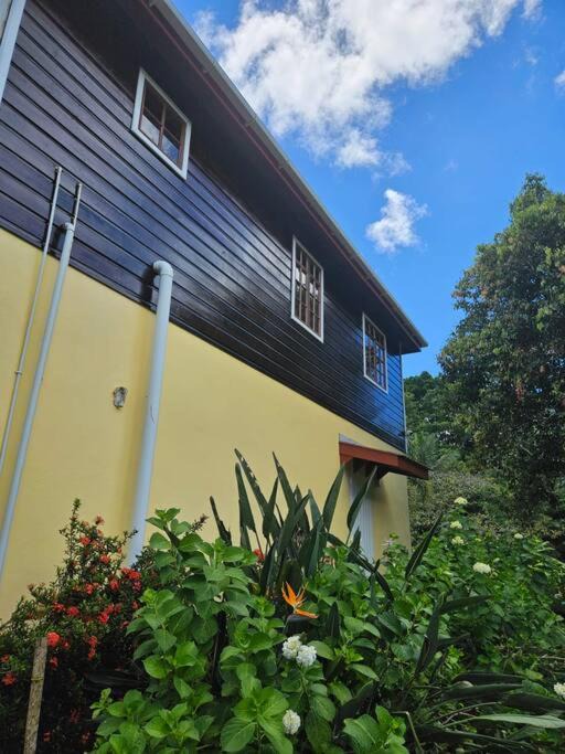 Photo of Others in Choiseul Quarter