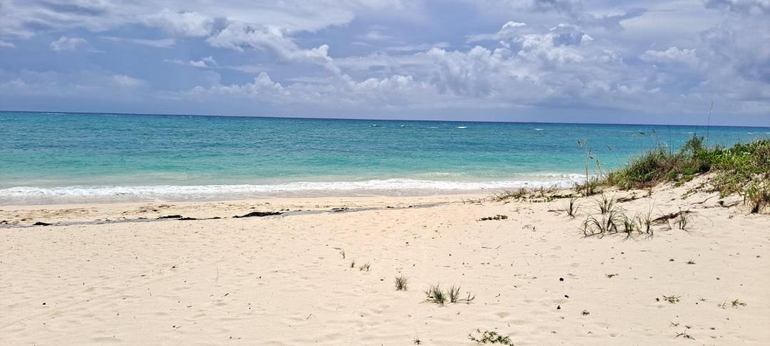 Photo of Others in Discovery Bay