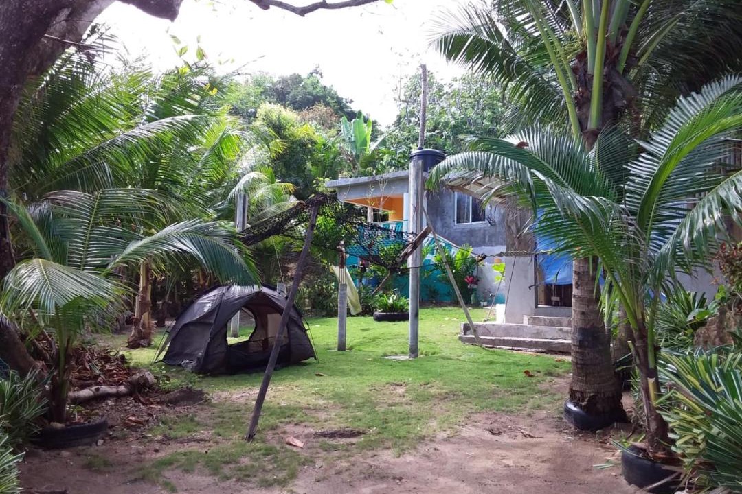 Photo of Others in Port Antonio