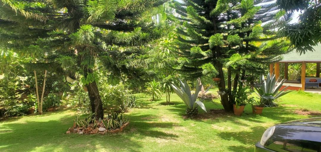 Photo of Others in San Gregorio de Nigua