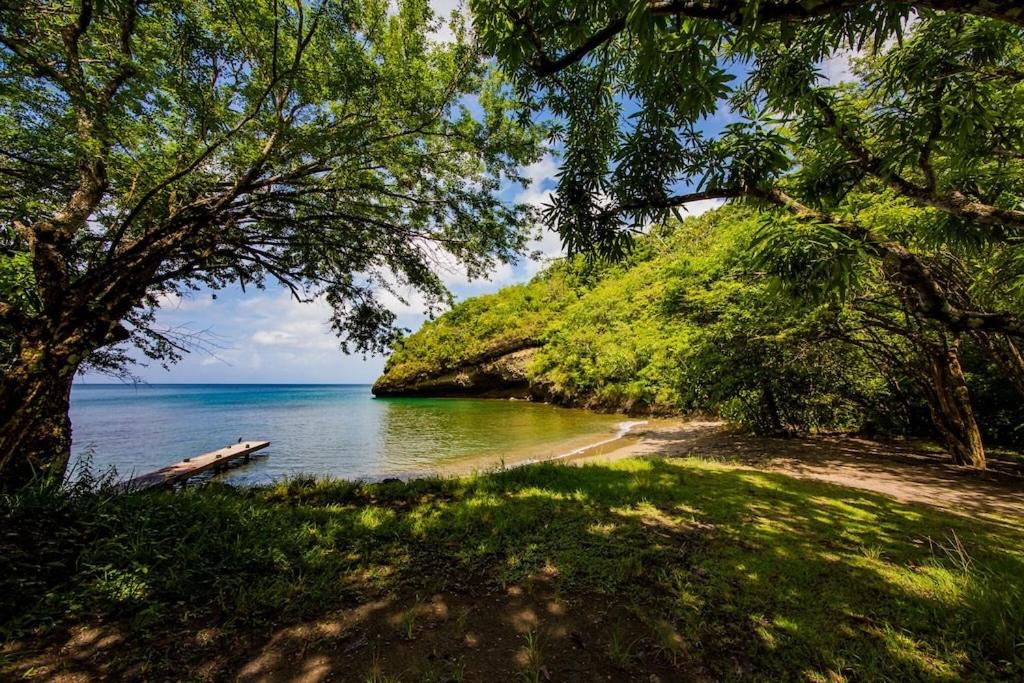 Photo of Others in Marigot Bay