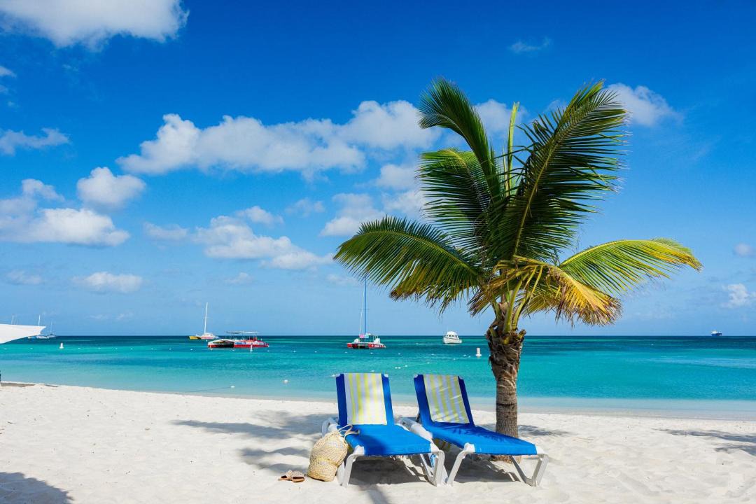 Photo of Others in Palm Beach