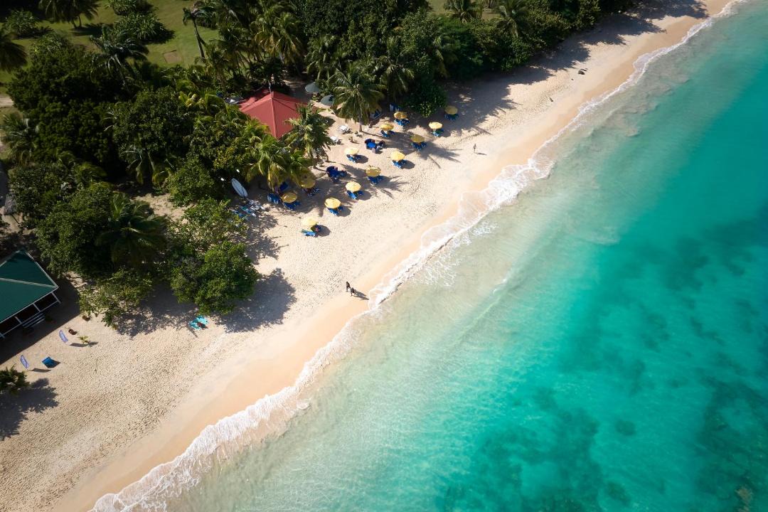 Photo of Others in Morne Rouge