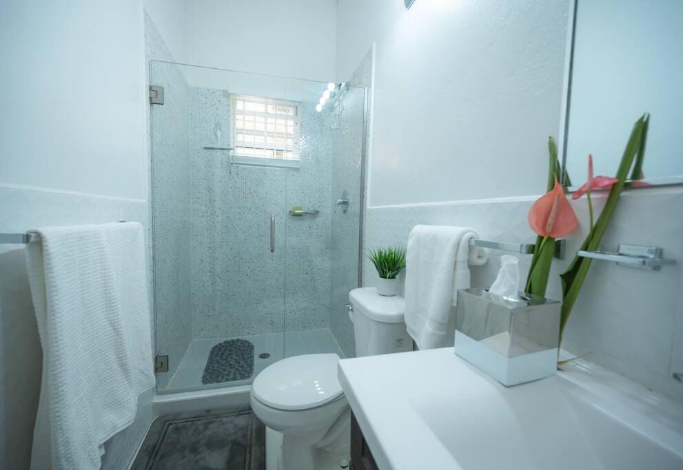 Photo of Bathroom in Soufriere