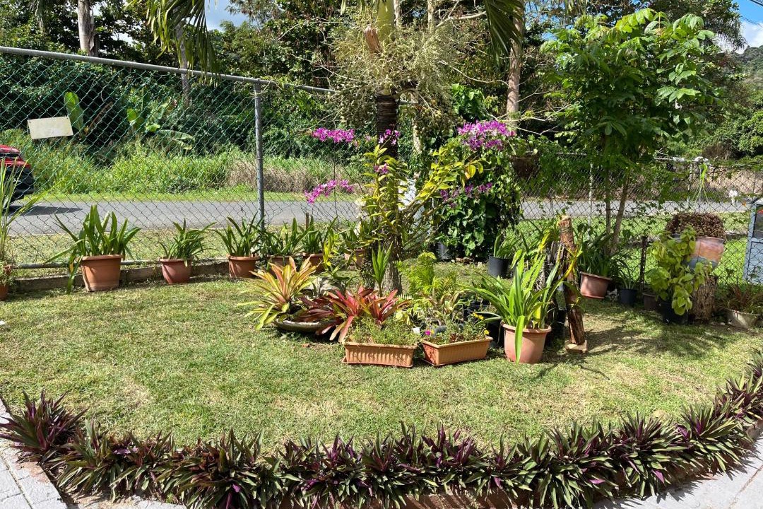 Photo of Outdoor in Quemados